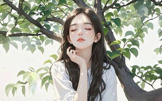 Em chồng bóng gió rằng tôi là “cây độc không quả”, mẹ chồng lên kế hoạch tìm con dâu mới