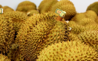 Không phải Thái Lan hay Việt Nam, một quốc gia đang ‘bội thu’ sầu riêng tại thị trường Trung Quốc: Thị phần tăng gấp 10 lần, nắm một lợi thế đặc biệt so với các đối thủ