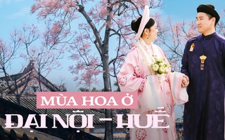 Huế lại khiến du khách "tuyệt đối ngẩn ngơ" với mùa hoa phủ hồng Đại Nội: Đi đi em, còn do dự là hết đó!