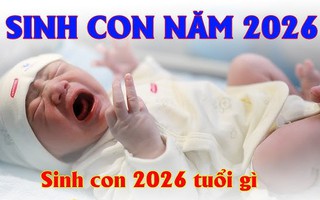 Những em bé Bính Ngọ 2026 cực kỳ hợp với bố mẹ tuổi này, mang lại may mắn cho gia đình