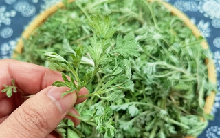3 món ngon từ loại rau giúp phụ nữ trẻ mãi không già