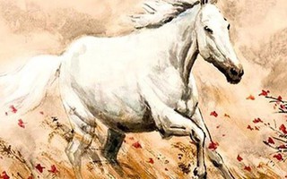 Tháng 4 Âm lịch, có 4 con giáp thăng hoa cả sự nghiệp lẫn tiền tài, may mắn vượt bậc, dễ gặp quý nhân