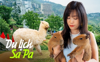 Trải nghiệm Sa Pa dịp nghỉ lễ theo cách khác: Khi bạn dành một buổi chơi cùng thú cưng ở nông trại giữa núi rừng