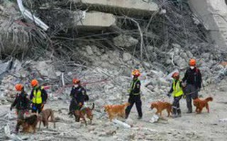 Bộ Y tế Thái Lan cảnh báo hội chứng 'say động đất'