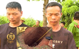 Xử lý nghiêm hành vi xâm hại lăng mộ vua Lê Túc Tông