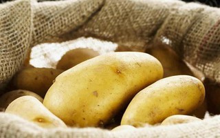 Rắc 1 nắm thứ này vào khoai tây, để cả năm không thối hay mọc mầm