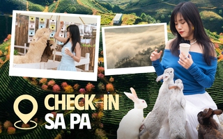 Mùa hè trốn nắng nóng rủ nhau đi chơi ở Sa Pa và đây là những địa điểm check-in kiểu gì cũng có ảnh đẹp!