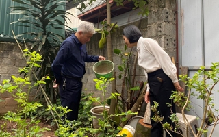 Sốt xuất huyết có dấu hiệu gia tăng tại Hà Nội