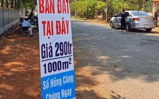 “Cơn sốt” đất nền đổ bộ Hải Phòng, Hưng Yên: Chuyện gì đang xảy ra?