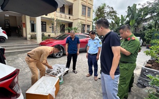 Nóng tại Quảng Ninh: Phát hiện một hộ kinh doanh có hơn 2.000 kg thực phẩm không rõ nguồn gốc, hộ khác có 5,6 triệu con ngao hoa giống không rõ xuất xứ