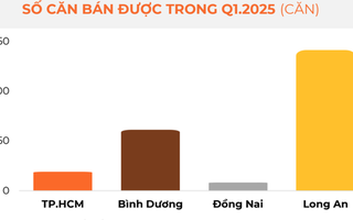 Khu vực có giao dịch nhà phố, biệt thự tăng hơn 100% so với quý trước, dẫn đầu nguồn cung toàn thị trường trong năm 2025