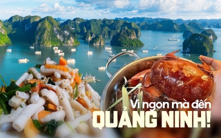 Có những người vượt hàng trăm cây số đến Quảng Ninh chỉ để ăn 3 món đặc sản này, nhiều nơi khác cũng có nhưng không đâu ngon bằng!