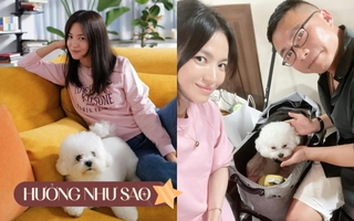 Độc thân không con cái, nhưng Song Hye Kyo lại chi gần 10 triệu đồng để mua xe đẩy cho cún cưng, ai hiểu cũng thấy thật đáng giá