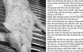 Hình ảnh "thịt hôi, thịt bệnh" gây hoang mang trên mạng: Người tiêu dùng lo ngại về chất lượng thực phẩm và sức khỏe