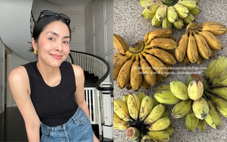 Nhà hào môn không thiếu sơn hào hải vị nhưng Hà Tăng "mừng như bắt được vàng" khi mẹ đẻ cho thứ dân dã này