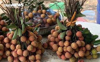 Những ai không nên ăn vải?
