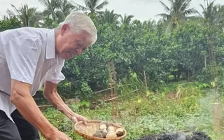 Tận thấy món đặc sản "ngọc ẩn mình" rất lạ ở bên cồn