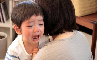 Nhờ bố chồng trông con 3 tiếng, ông mải xem livestream đá gà đến quên luôn cháu ngoài đường