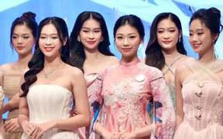 Ban tổ chức Hoa hậu Việt Nam 2024 xin lỗi