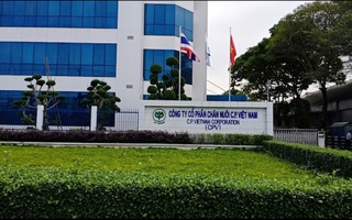 NÓNG: C.P. Việt Nam thừa nhận hình ảnh heo bệnh bị “tố” là có thật, được chụp tại cơ sở gia công thuê