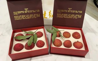 Có gì trong quả vải thiều giá lên tới gần 2 tỷ đồng, người có tiền cũng chưa chắc mua được?
