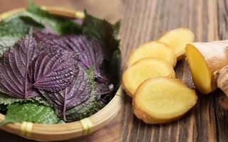 5 trường hợp cần thận trọng khi uống nước tía tô nấu với gừng