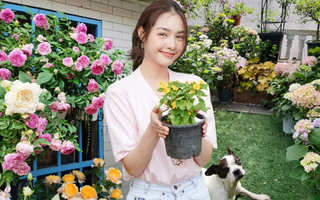 Từ sân thượng lạnh lẽo đến khu vườn ấm áp 500 chậu hoa: Góc chữa lành sau giờ làm của một mẹ bỉm