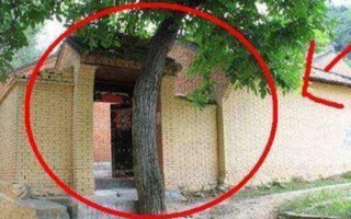 Trước nhà phạm "tứ kỵ" thì tài lộc sớm đội nón ra đi, gia chủ không ốm đau cũng hao tài