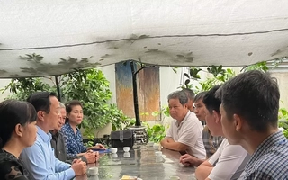 Vụ lật tàu ở Quảng Ninh: 7 học sinh Hà Nội thương vong