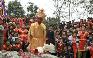 Cận cảnh màn chém “ma gà” ở Hà Nội