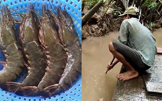 Người anh trai “không bình thường” chăm em gái ở cữ khiến cộng đồng mạng rơi lệ