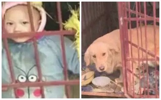 Ham mê trò đỏ đen, mẹ nhốt con vào chuồng chó để tránh bị làm phiền