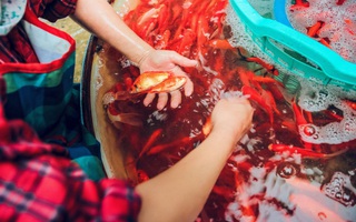 Cận cảnh chợ cá chép phục vụ Tết ông Công, ông Táo lớn nhất tại Hà Nội