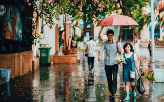 Những bức ảnh tuyệt đẹp này sẽ khiến bạn nhận ra, trong mưa, cuộc đời vẫn dịu dàng đến thế