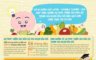 Giúp mẹ hiểu về các dưỡng chất thiết yếu cho sự phát triển não bộ của bé