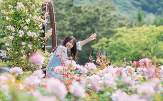 Tiết lộ 5 cung Hoàng đạo có cuộc sống hoàn hảo, đáng mong chờ nhất trong nửa cuối năm 2017