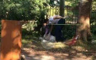 Hà Nội: Người đàn ông tử vong dưới gốc cây chưa có người thân đến nhận
