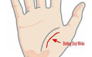 Hay nghe nói người này có quý nhân phù trợ, nhìn vào tay là thấy ngay!