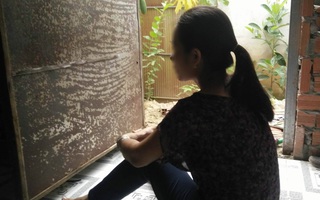 Luật sư cho rằng thiếu khách quan khi không khởi tố vụ án người mẹ nghi bị hiếp dâm 2 lần