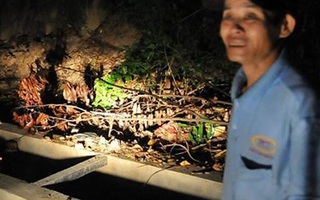 Tìm dép trong mưa lớn, bé trai 11 tuổi bị cuốn trôi xuống cống mất tích trên đường đi học về