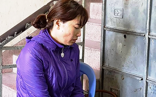 Bà chủ bạo hành trẻ trường Mầm Xanh đã bị khởi tố và bắt tạm giam
