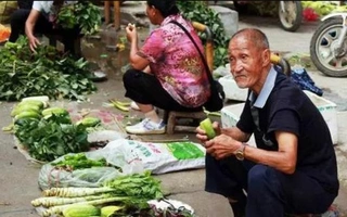 Tưởng con đã chết nơi đất khách, ông bố bán rau nuôi cháu "mồ côi" bỗng phát hiện sự thật như xát muối sau 14
