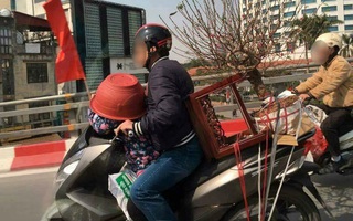 Bức ảnh "bố ơi mình đi đâu thế" phiên bản lỗi ngày cuối năm: Bố chở đào Tết, con đội... chậu