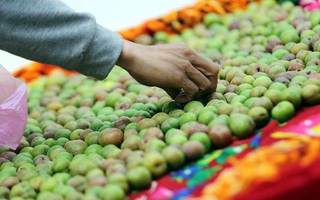 Hà Nội: Mận đầu mùa giá cao gấp 10 lần chính vụ, chị em vẫn ùn ùn mua