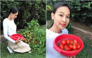 Cận cảnh khu vườn có nhiều loại rau củ Việt của hoa hậu Dương Mỹ Linh trên đất Mỹ