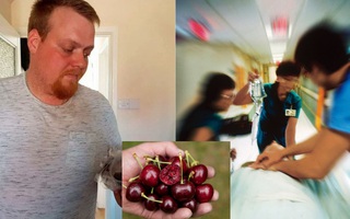 Tò mò ăn thử hạt cherry, người đàn ông suýt trả giá bằng tính mạng do trúng kịch độc