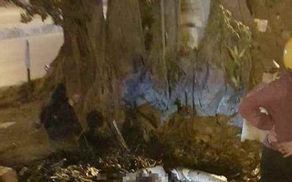 Hà Nội: Rượu say, một người đàn ông chạy ra gốc đa tẩm xăng tự thiêu