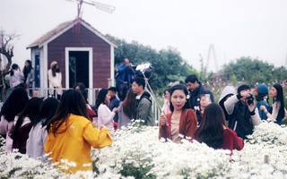 Rét mướt, tắc đường, đông đến nghẹt thở, nghìn người vẫn tạo dáng bên vườn cúc họa mi