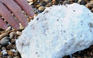 Thấy thứ màu trắng như bột này trên biển thì đừng chạm kẻo rước họa vào thân