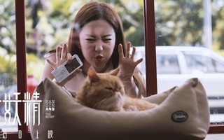 Lưu Diệc Phi gây thích thú khi làm vẻ mặt đáng yêu bên chú mèo đỏng đảnh